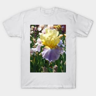 Purple and Yellow Bearded Iris Flower T-Shirt